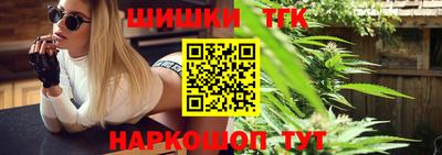 индика Вязьма