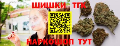 индика Вязьма