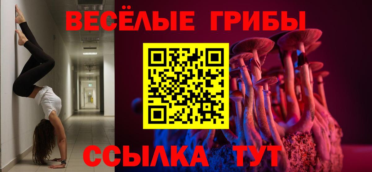 Псилоцибиновые грибы Psilocybine cubensis Гай