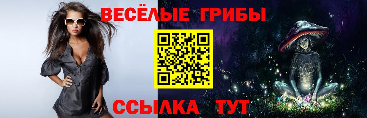 Галлюциногенные грибы мухоморы  цены   Гай  Вход с VPN  Псилоцибиновые грибы прущие грибы 