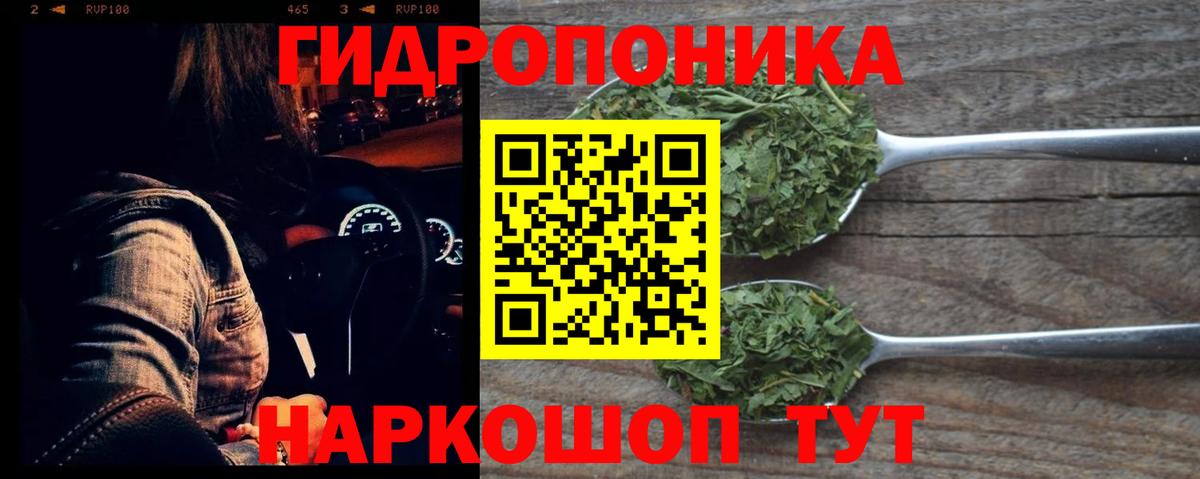 Бошки Шишки OG Kush  Вход с VPN  Бошки Шишки сатива  Бошки марихуана OG Kush  Бошки Шишки тримм  Гай 